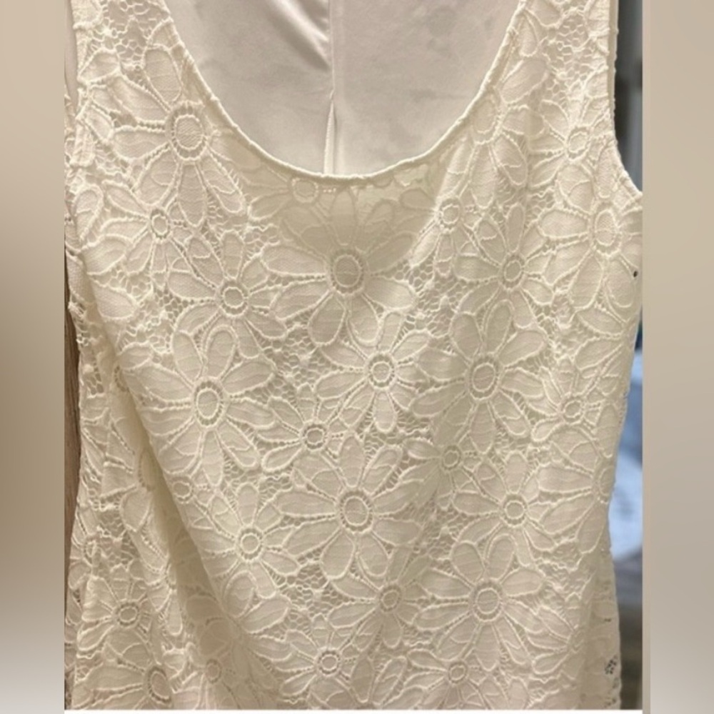 Tiana B. Floral Daisy Lace Dress, 2XL